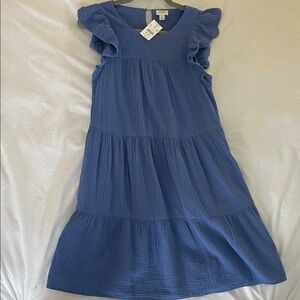 J. Crew Blue Midi Dress